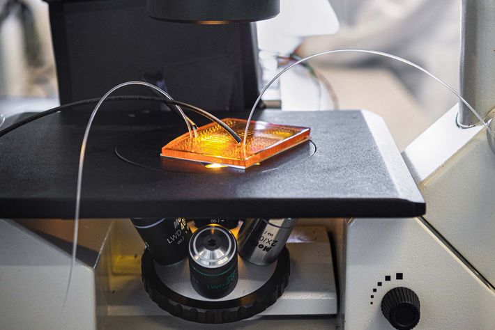 In the TriggerINK lab, viscous polymer and oil are combined to create microgel droplets; after being exposed to light, they harden into different shapes. Production of microgel droplets