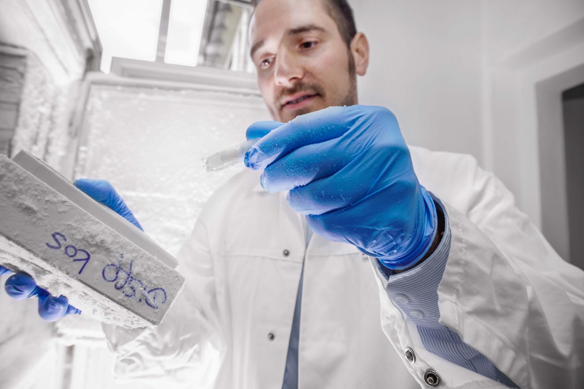 Lab bacteria and the ancient natural products they produce are stored at minus 80 degrees centigrade. Lab bacteria and the ancient natural products they produce are stored at minus 80 degrees centigrade.