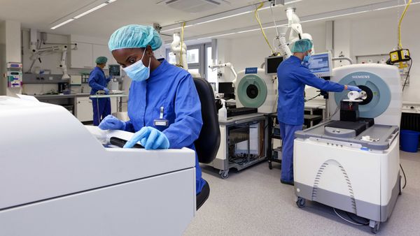 Researchers at the Werner Siemens Imaging Center