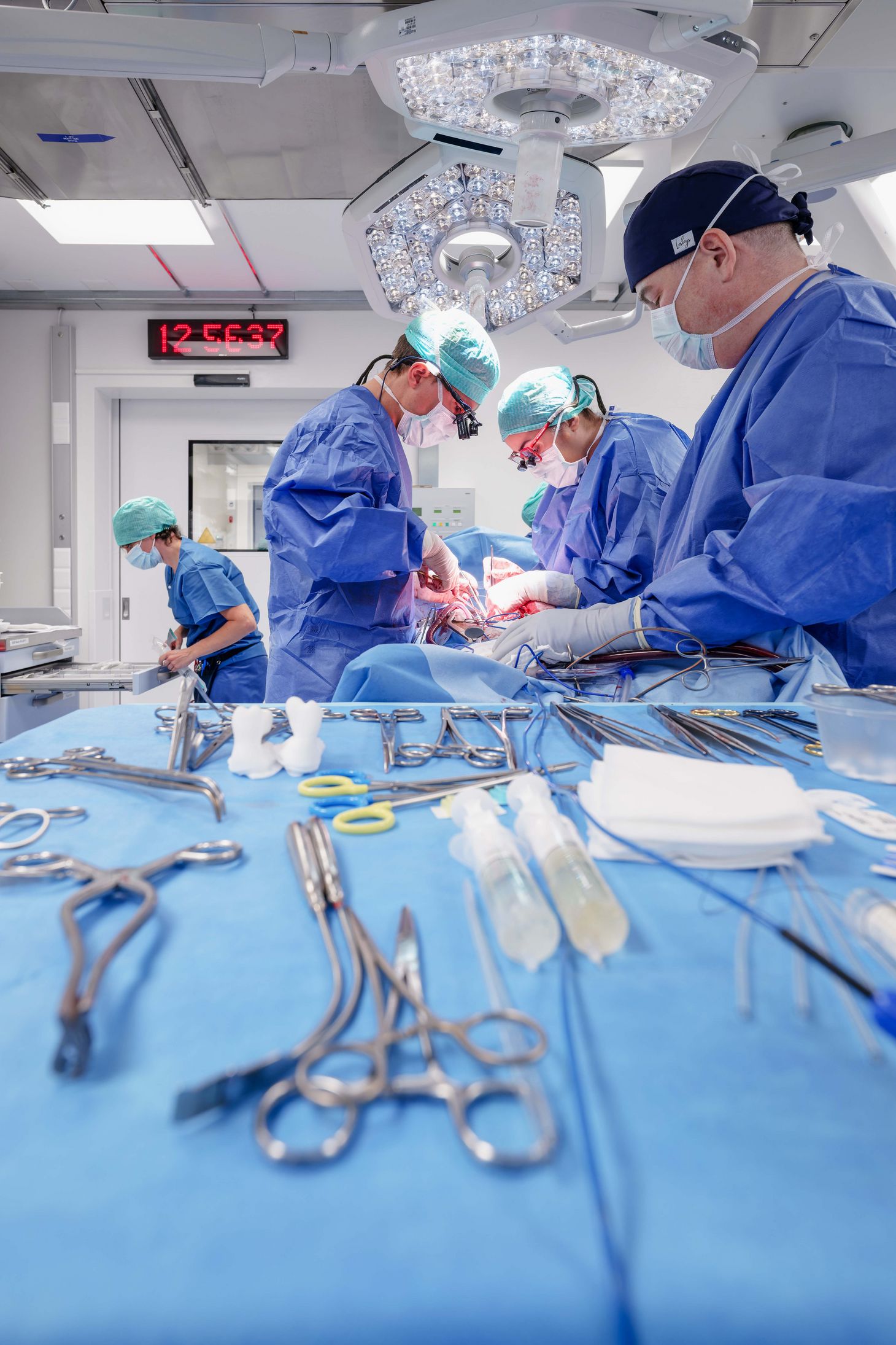 Unvermeidliche Tests am Tiermodell: Bevor der Aorta-Ring in klinischen Versuchen beim Menschen zum Einsatz gelangen kann, müssen ihn die Forschenden vom Zentrum für künstliche Muskeln an Versuchstieren prüfen. Operation am Schweineherz