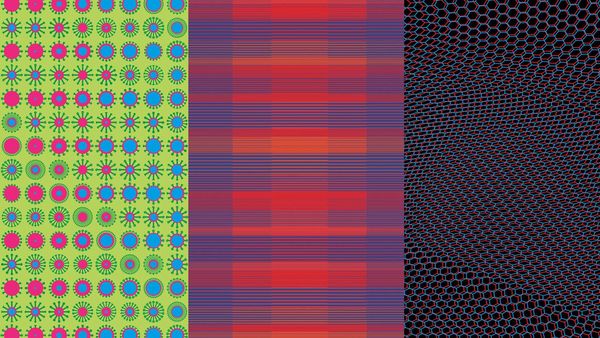 Werner Siemens Foundation: 2020 report