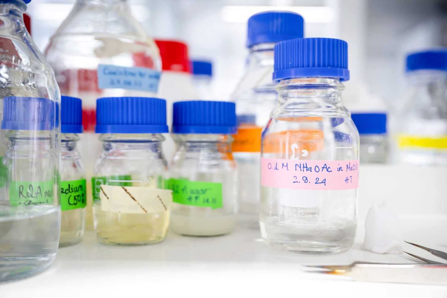 Magnabosco und ihr Team sammeln Wasserproben im Bedretto-Tunnel. In ihren Labors an der ETH Zürich extrahieren sie daraus Bakterien und andere Lebewesen und analysieren deren Erbgut.