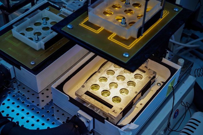 Photo of the automatisation process to perform high-throughout screening on algae