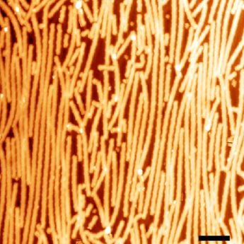 Image of carbon nanoribbons rendered by the scanning tunnelling microscope at different magnifications.