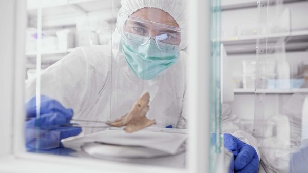 Archäologin Christina Warinner