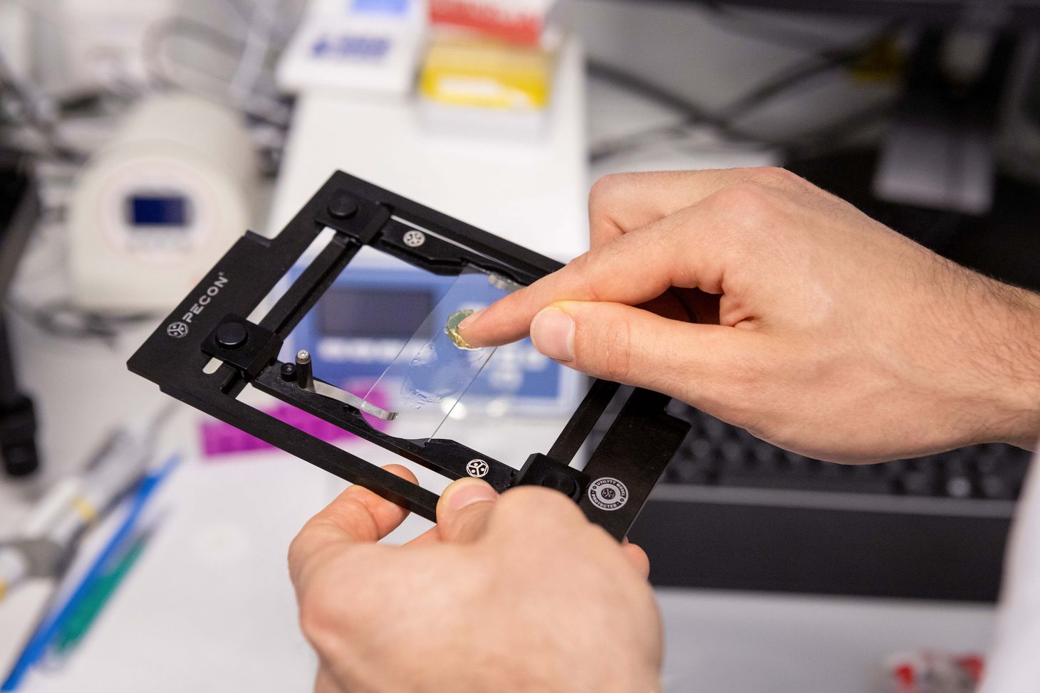 The researchers test the consistency of their hydrogel on microscope slides. Researchers testing the consistency of their hydrogel on microscope slides
