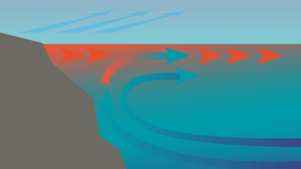 [Translate to English:] Wenn Passatwinde im Golf von Panama das warme Küstenwasser aufs Meer hinausschieben, strömt aus 300 bis 400 Metern Tiefe kühles, nährstoffreiches Wasser nach.