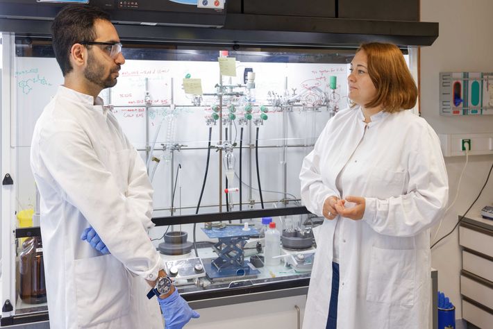 Anna Junker, recently appointed professor of radiochemistry and the development of medical imaging probes at the University of Tübingen, is the latest addition to the WSIC team. Anna Junker and another researcher