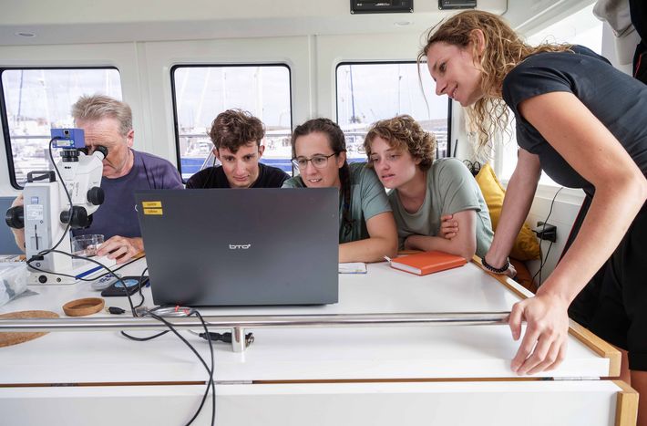 Micropalaeontologist Ralf Schiebel (left) has transferred the magnified view of the microscope live to the computer, and the students wait to discover what intern Janine Schmitter’s (centre) first plankton sample will reveal.