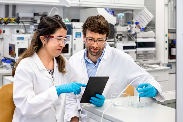Using a hand-held ultrasound device, the researchers can activate prepared molecules—both in a test tube and in the tissue of lab animals. Researchers in the lab