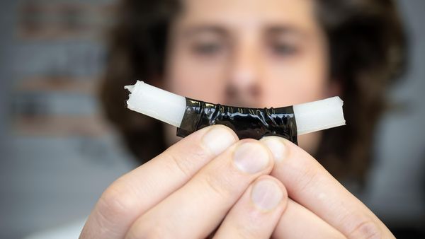 The artificial muscle