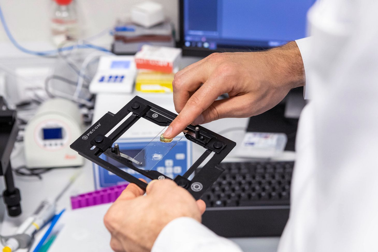 Biotinte auf Objektträger
