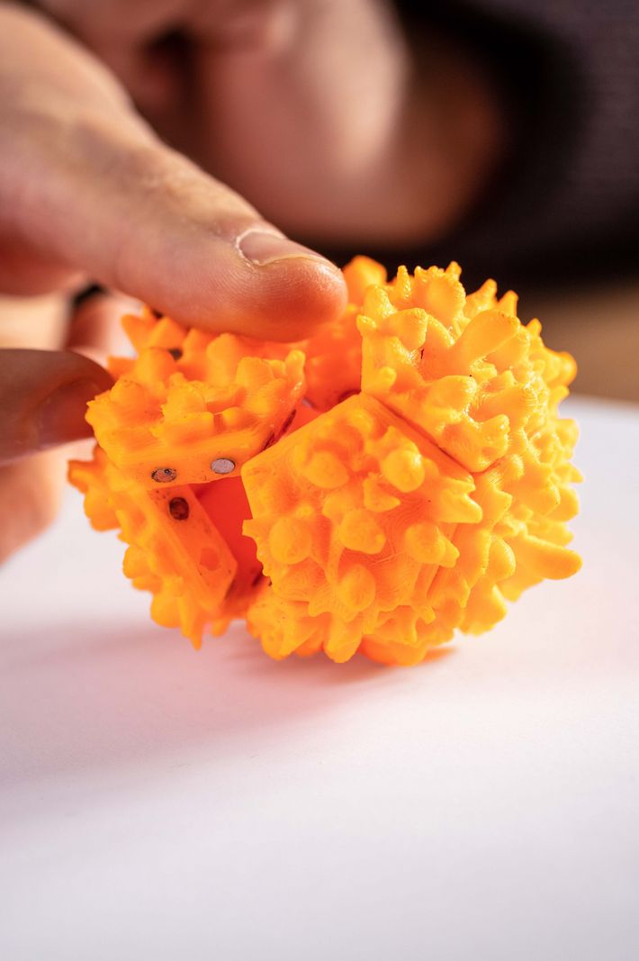 Viren einfangen und mit Druck zerstören: Das ist vereinfacht ausgedrückt das Prinzip des innovativen Verfahrens gegen Viren der Forschungsgruppe von Francesco Stellacci an der EPFL. Finger zerdrückt ein Modell eines Virus